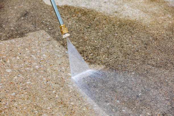 Best Driveway Pressure Washing  in West Dundee, IL